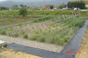 Impianto fitodepurazione Loppiano FI — foto 3